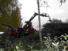 img7.gif